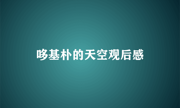 哆基朴的天空观后感