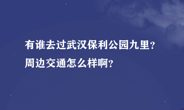 有谁去过武汉保利公园九里？周边交通怎么样啊？