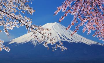 日本个人旅游签证 日本签证费用