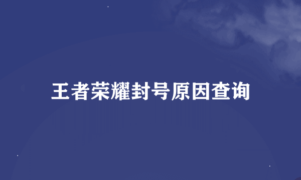 王者荣耀封号原因查询