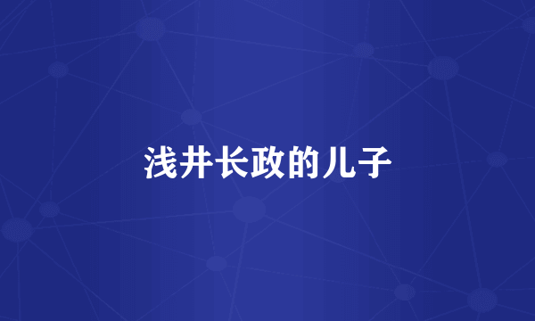 浅井长政的儿子