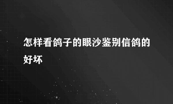 怎样看鸽子的眼沙鉴别信鸽的好坏