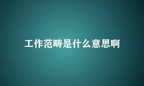 工作范畴是什么意思啊
