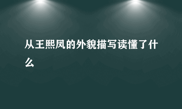 从王熙凤的外貌描写读懂了什么