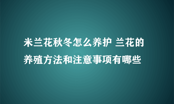 米兰花秋冬怎么养护 兰花的养殖方法和注意事项有哪些