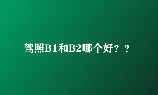 驾照B1和B2哪个好？？