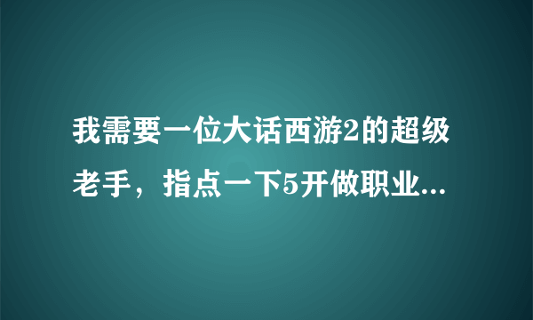 我需要一位大话西游2的超级老手，指点一下5开做职业如何赚钱。不要一知半解的回答，我是个新手，希望谅解