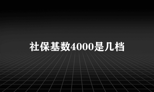 社保基数4000是几档