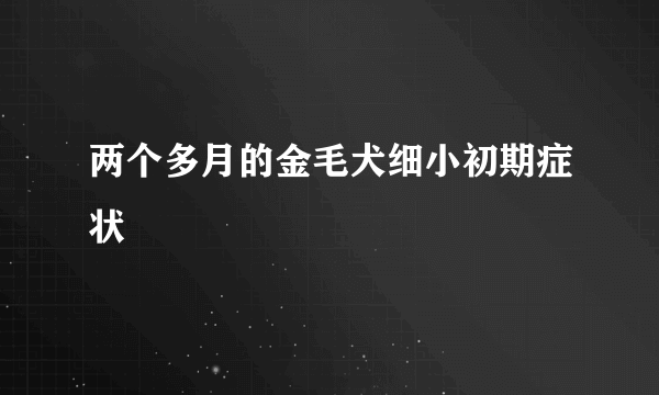 两个多月的金毛犬细小初期症状
