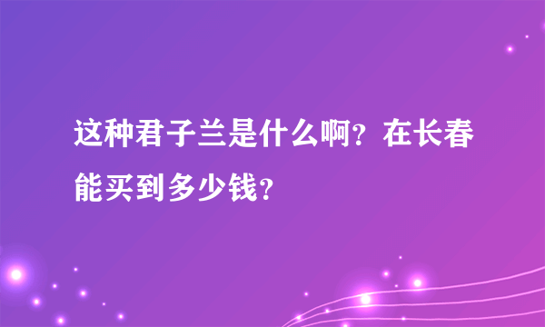 这种君子兰是什么啊？在长春能买到多少钱？