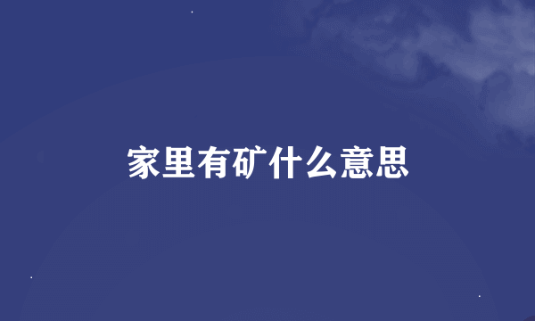 家里有矿什么意思