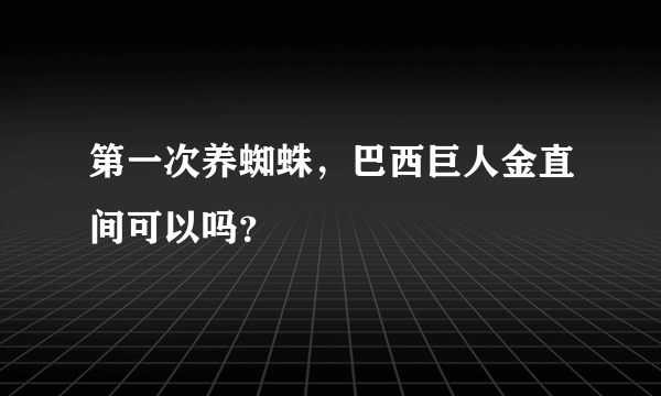 第一次养蜘蛛，巴西巨人金直间可以吗？