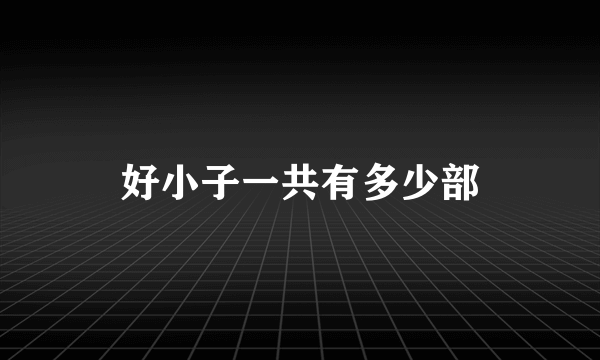 好小子一共有多少部