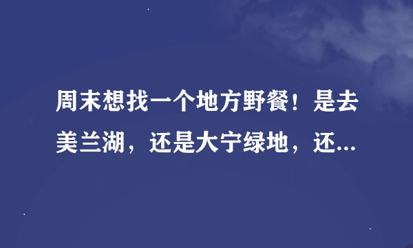 周末想找一个地方野餐！是去美兰湖，还是大宁绿地，还是世纪公园好啊？还是大家有什么好的地方介绍一下！