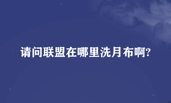 请问联盟在哪里洗月布啊?
