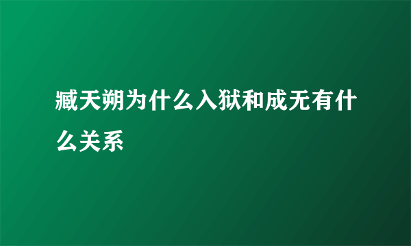 臧天朔为什么入狱和成无有什么关系