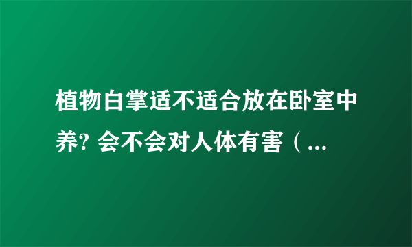 植物白掌适不适合放在卧室中养? 会不会对人体有害（或者风水方面）?