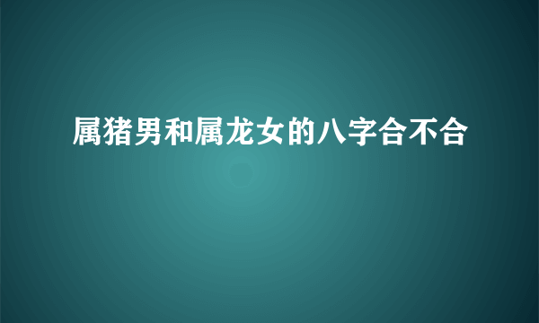属猪男和属龙女的八字合不合