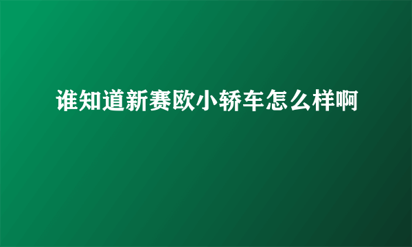 谁知道新赛欧小轿车怎么样啊