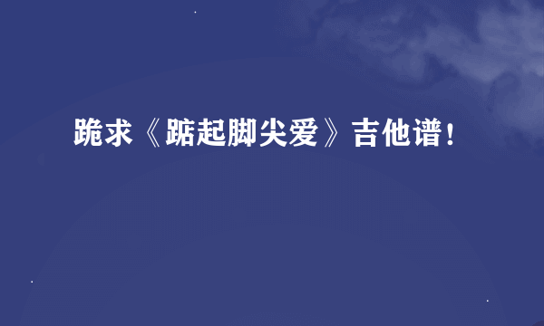 跪求《踮起脚尖爱》吉他谱！