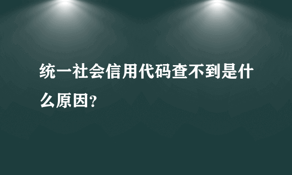 统一社会信用代码查不到是什么原因？