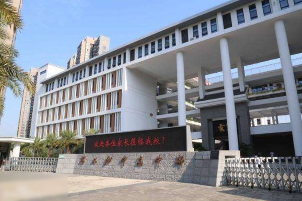 深圳深大附中高中部怎么样