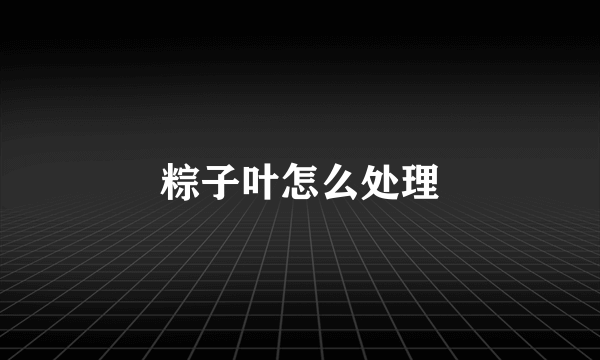 粽子叶怎么处理