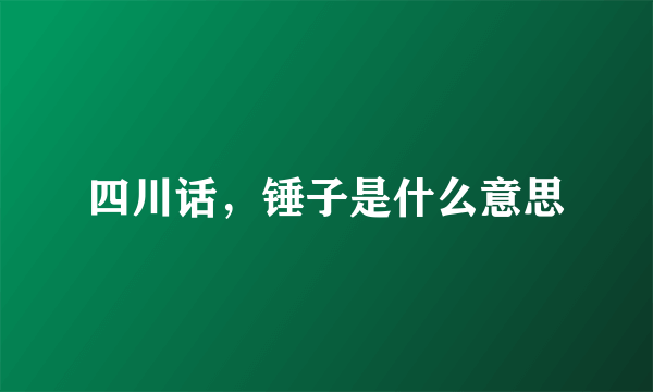四川话，锤子是什么意思
