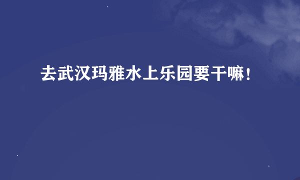 去武汉玛雅水上乐园要干嘛！
