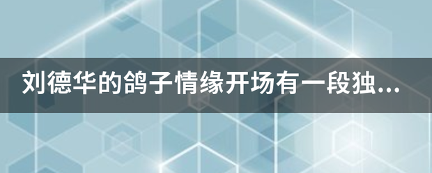 刘德华的鸽子情来自缘开场有一段独白国语是什么意思，还没开始唱的时候说的那些话