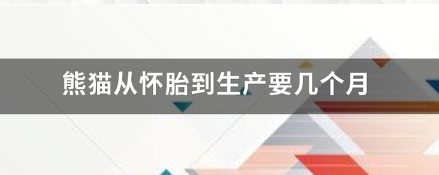 熊猫从怀胎到生产要几个月