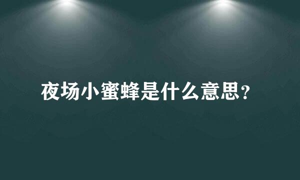 夜场小蜜蜂是什么意思？