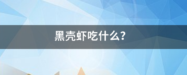 黑壳虾吃什么职歌？