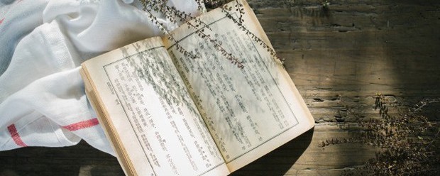 拉开序幕的意思是什么