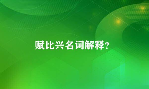 赋比兴名词解释？