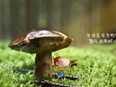 走自己的路,让别人说去吧!什么意思?