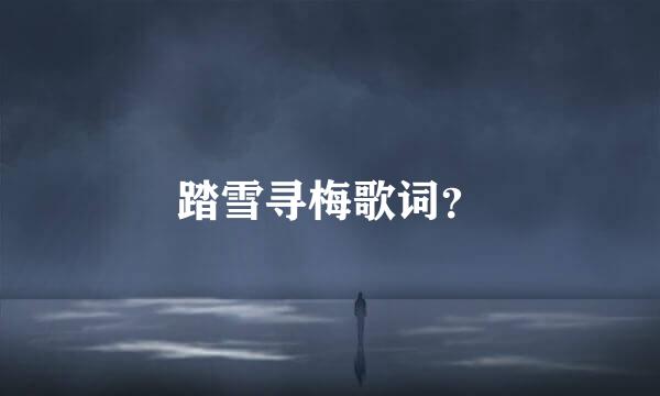 踏雪寻梅歌词？