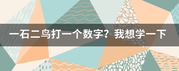 一石二鸟打一个数字？我想学一下