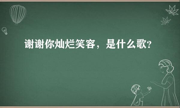 谢谢你灿烂笑容，是什么歌？