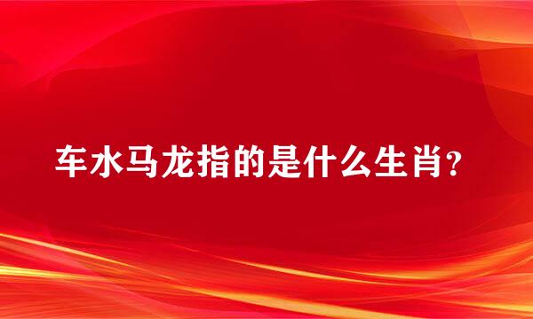 车水马龙指的是什么生肖？