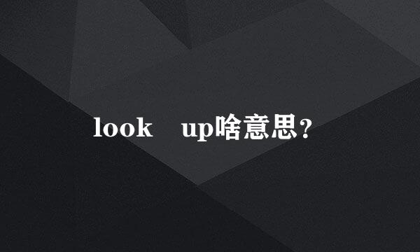 look up啥意思？