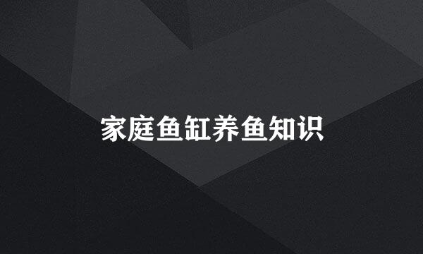 家庭鱼缸养鱼知识