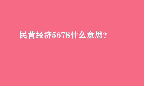 民营经济5678什么意思？