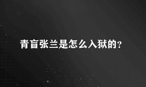 青盲张兰是怎么入狱的？