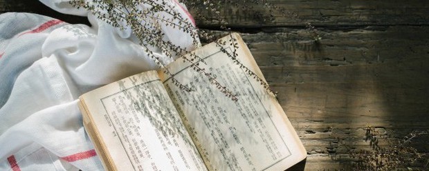 胡萝卜须讲的是什么意思
