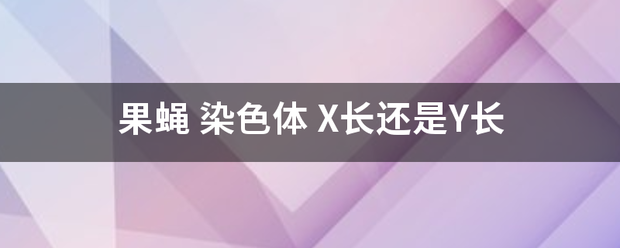 果蝇 染色体