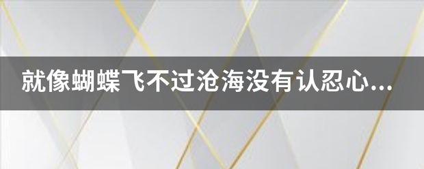 就像蝴蝶飞不过沧海没有认忍心责怪什么意思