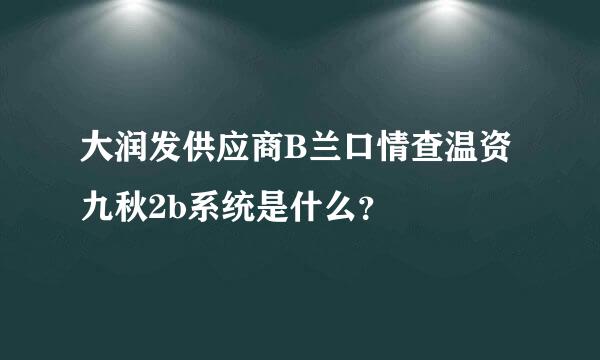 大润发供应商B兰口情查温资九秋2b系统是什么？