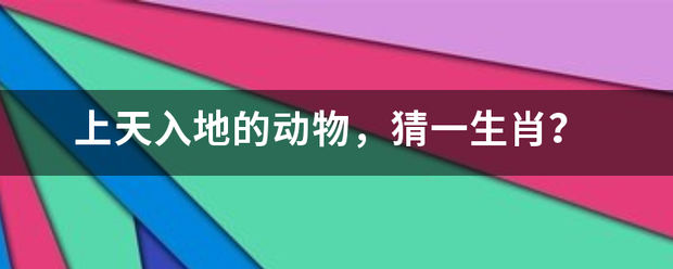 上天入地的动物，猜一生肖？