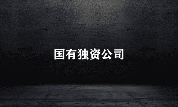 国有独资公司